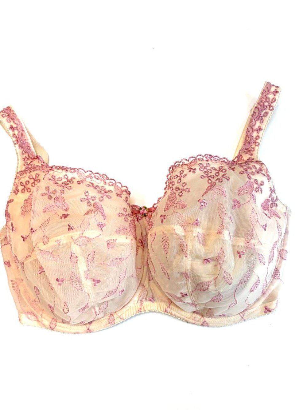 Fayreform Evolve Bra, Nude with Pale Pink lace detail, 34L US/34 HH UK